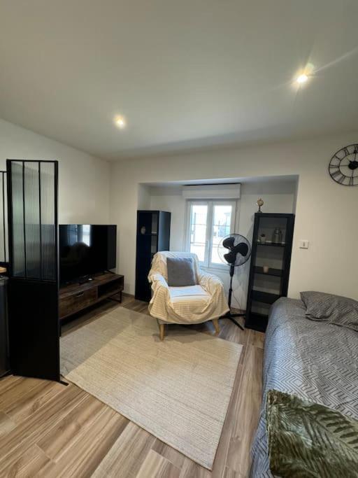 Joli Studio En Rez-De-Chaussee Saint Gaudens Εξωτερικό φωτογραφία
